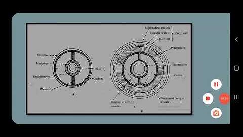 M.Sc Sem II Structure and Function of Invertebrate 12/8/21