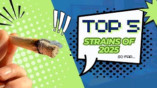 Top 5 strains of 2025 so far…..
