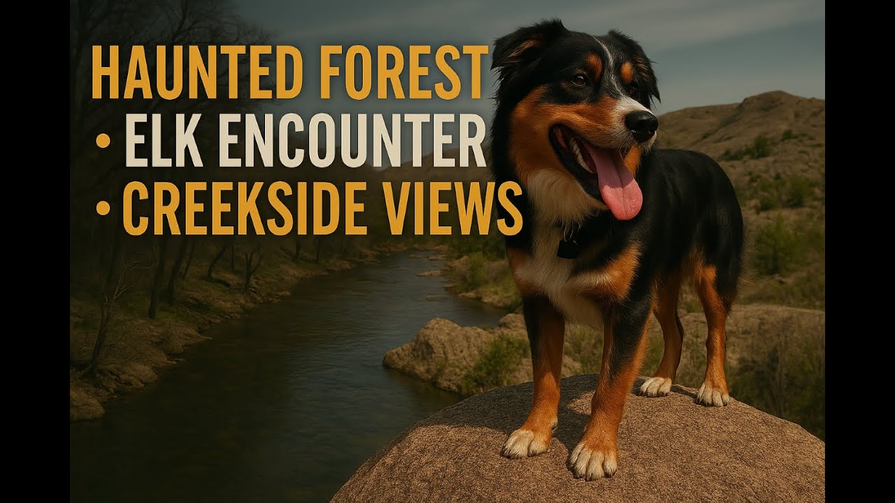 The Haunted Secrets of Oklahoma's Forests