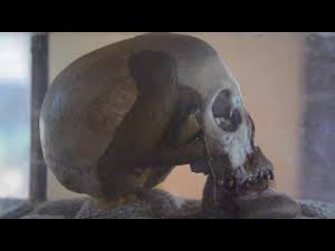 FUVU LA MKWAWA Na MAAJABU YAKE FUVU LA MKWAWA Na MAAJABU YAKE