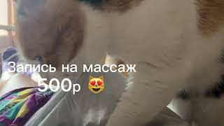 Кошкин массаж