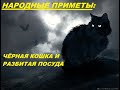 Народные приметы: чёрная кошка и разбитая посуда