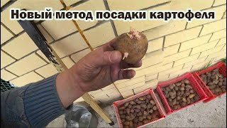 Картошка в пирамиде - новый метод посадки