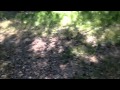 夕立 井上陽水 【徒歩で屋外カラオケやってみたw】3