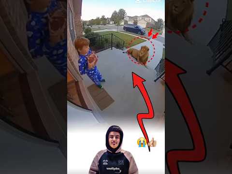 عندما أطعمت المفترس الرحمة غي رت كل شيء       