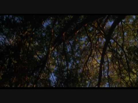 How to Make An American Quilt Music Video