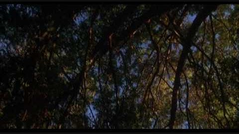 How to Make An American Quilt Music Video