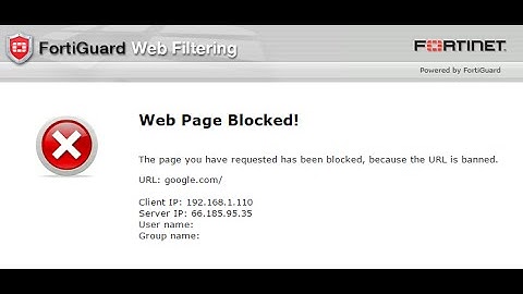 Allow full access on website to users from fortigate 100d Firewall