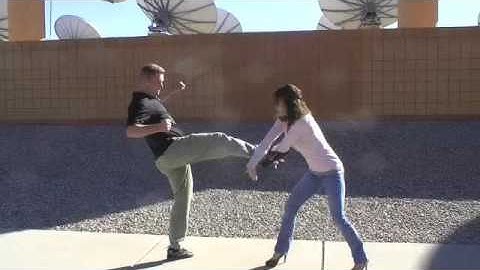 American Kenpo Academy