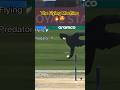 Superb Catch By Flying Machine Glenn Phillips Cricket Trending Youtubeshorts Sports Superb Catch By Flying Machine Glenn Phillips Cricket Trending Youtubeshorts Sports