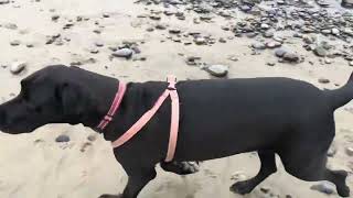 My baby and me playing on the rocky beach