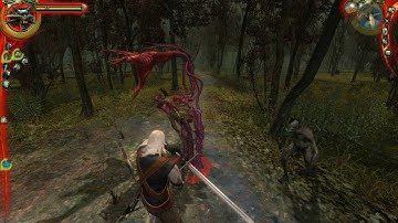 The Witcher: Enhanced Edition Director