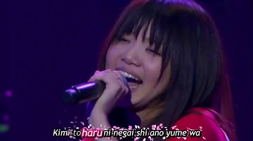 Sakura -  Ikimono Gakari Live Japanese Lyrics