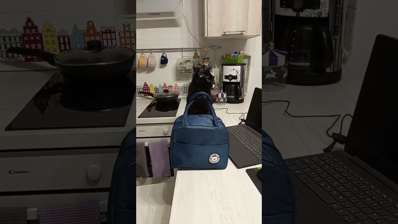 Почему не чёрный цвет?