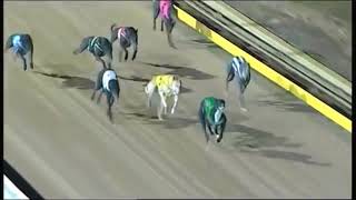 Shepp Cup Sep 2016