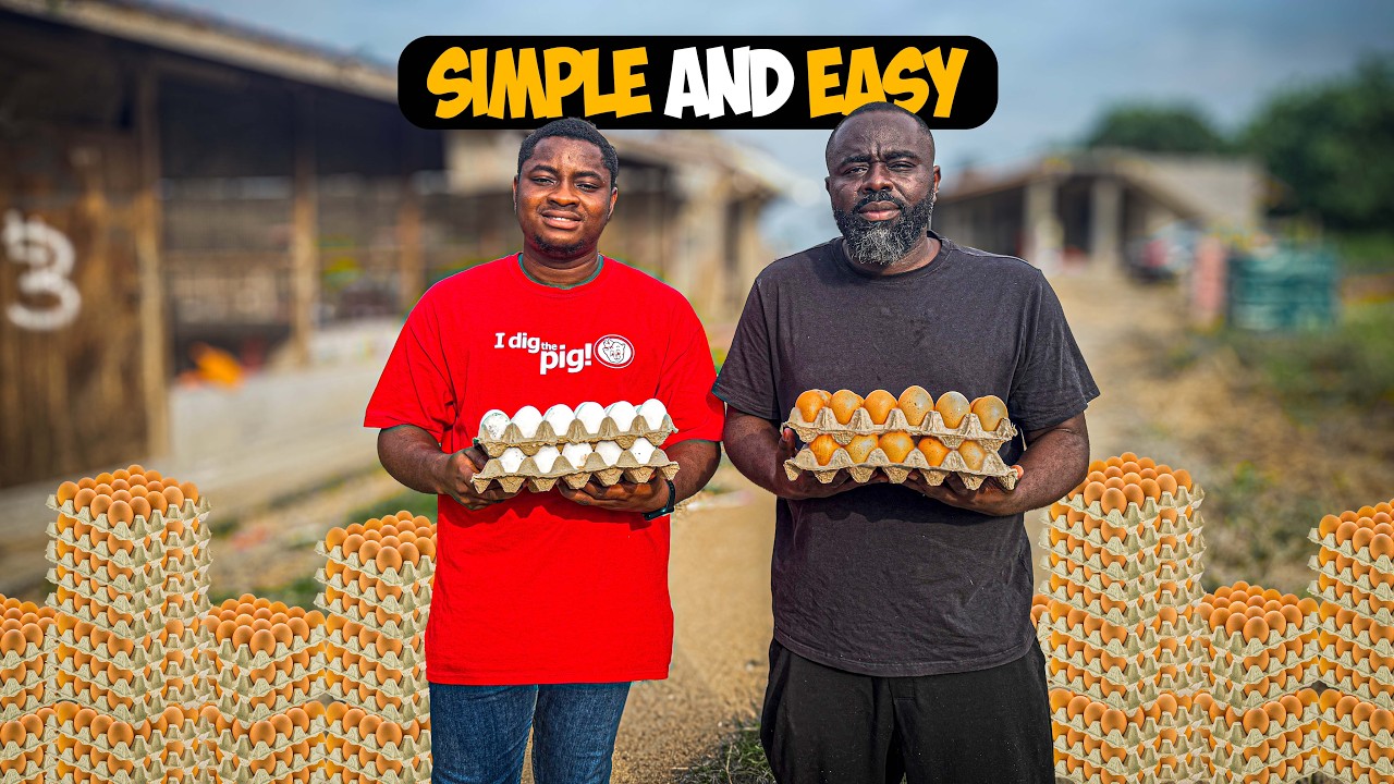 How To Start a 1,000 Capacity Poultry Farm in Ghana | Full Cost, Setup ...