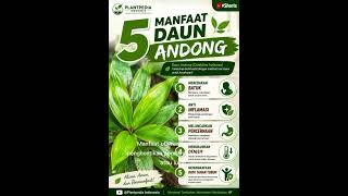  Daun Ini Banyak Manfaatnya