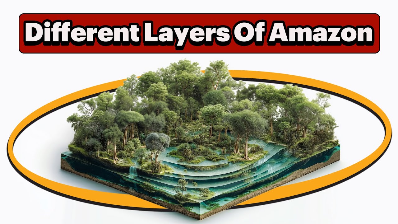 Nobody Talks About These 7 Hidden Layers Of The Amazon Jungle! - YouTube
