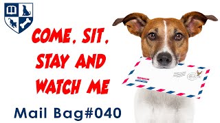Mail Bag 40 - The Ultra Useful Come, Sit-Stay, Watch Me Sequence