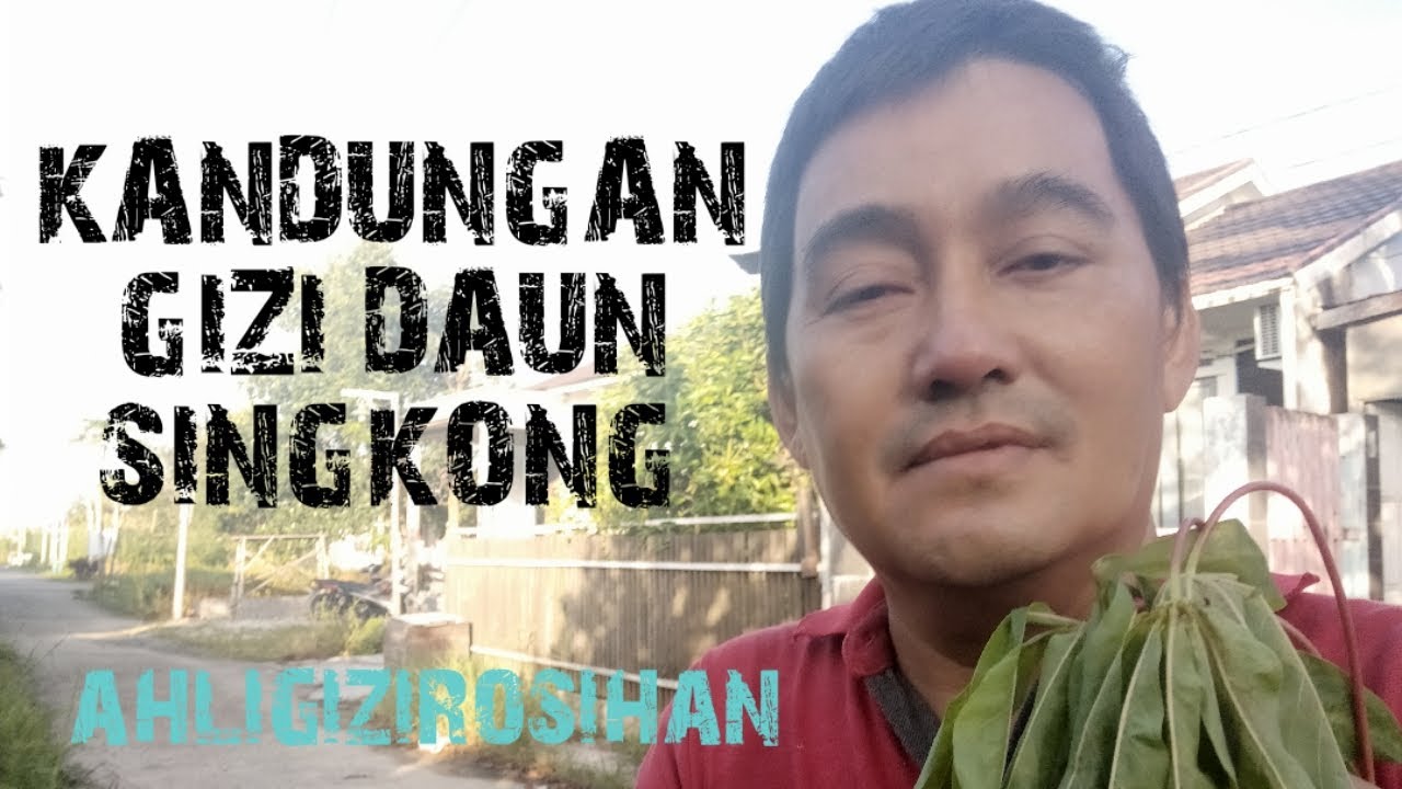 KANDUNGAN GIZI DAUN SINGKONG 