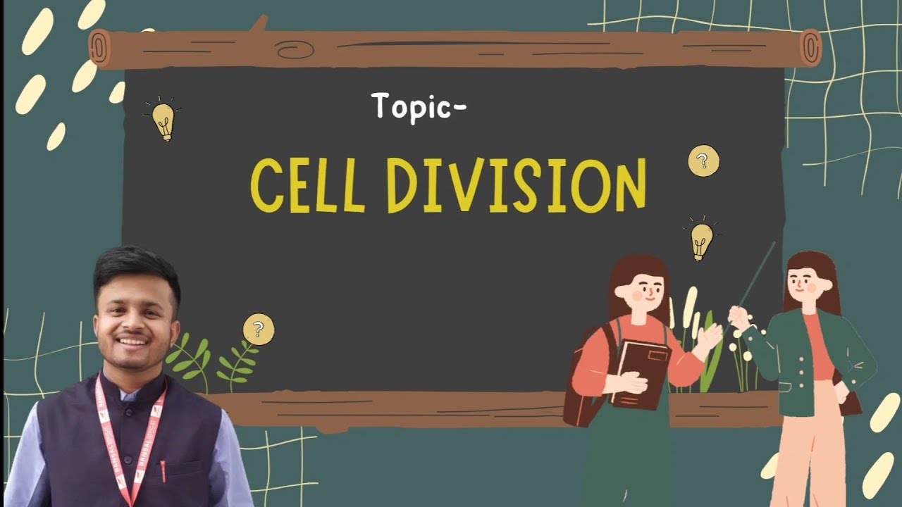 What Is Molecular Cell And Developmental Biology Bs