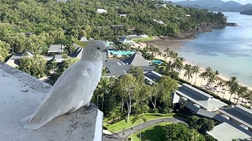 Digital Media Studio 1: Assignment 1 (Draft)