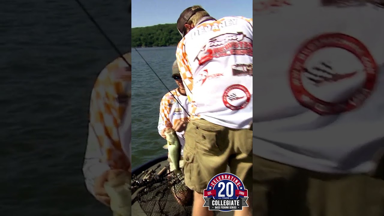 2017 - UNIVERSITY OF TENNESSEE 