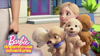 Les moments Plus Mignons | Barbie Dreamhouse Adventures | @BarbieFrancais