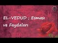 EL VEDUD ; Esması ve Faydaları EL VEDUD ; Esması ve Faydaları