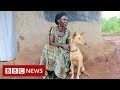 New video by BBC News on YouTube