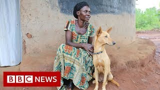 Ugandan war survivors partnered with therapy dogs - BBC News