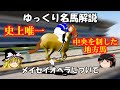 ゆっくり名馬解説　メイセイオペラについて