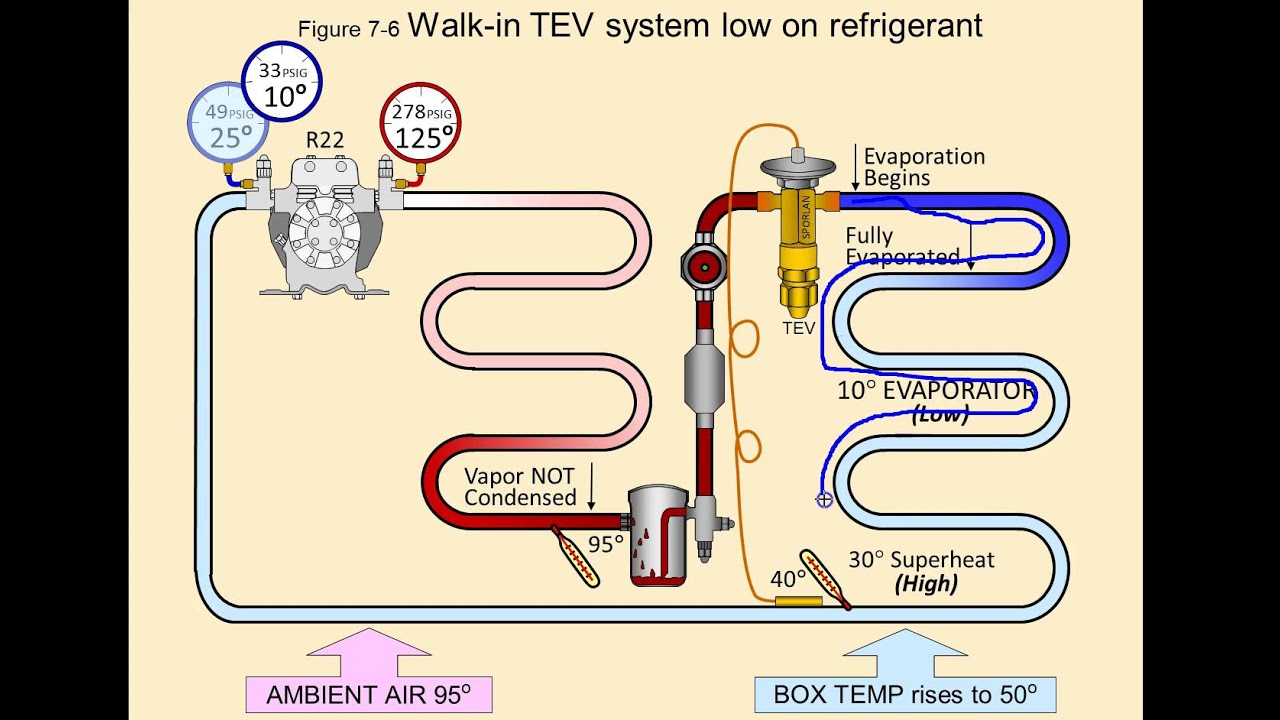 Extant characteristic contain not can cannot restricted go edifices, invade press exits spikes, plant regions, walker pathways both characteristics list