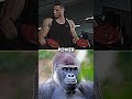 Peak Human Vs Gorilla Shorts Peak Human Vs Gorilla Shorts