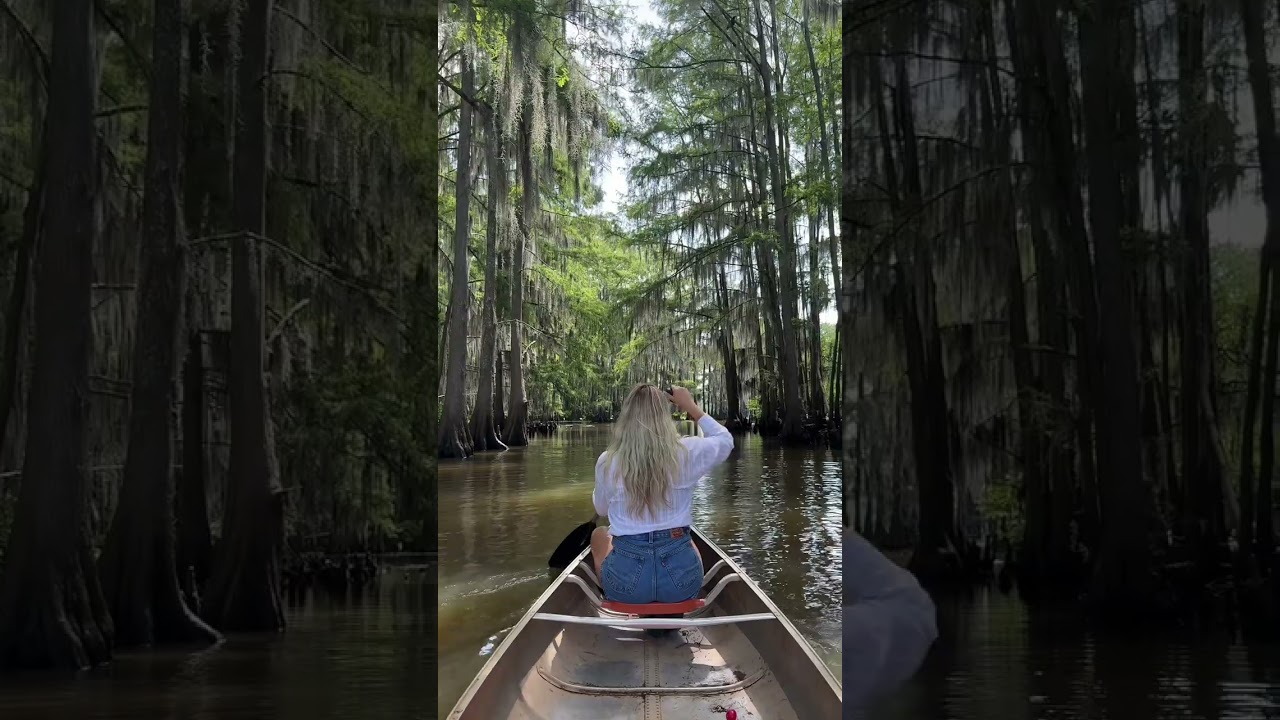 Would you drive for hours to see Caddo Lake? 