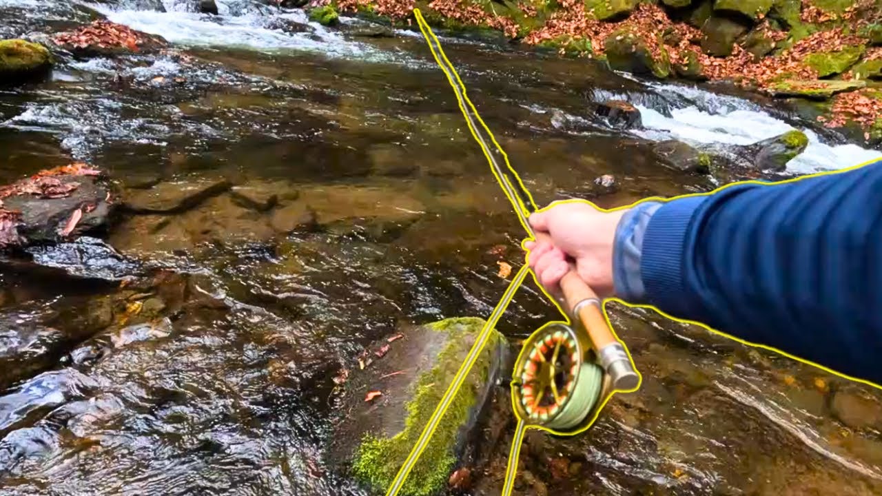 Fly Fishing Paradise In the Appalachian Mountains YouTube