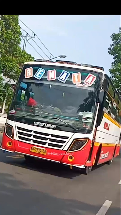 TELOLET HAYANG MARTABAK WOTA BUS RENATA #telolet #basuri #busmania #feedshorts #bus #wota #jokowi