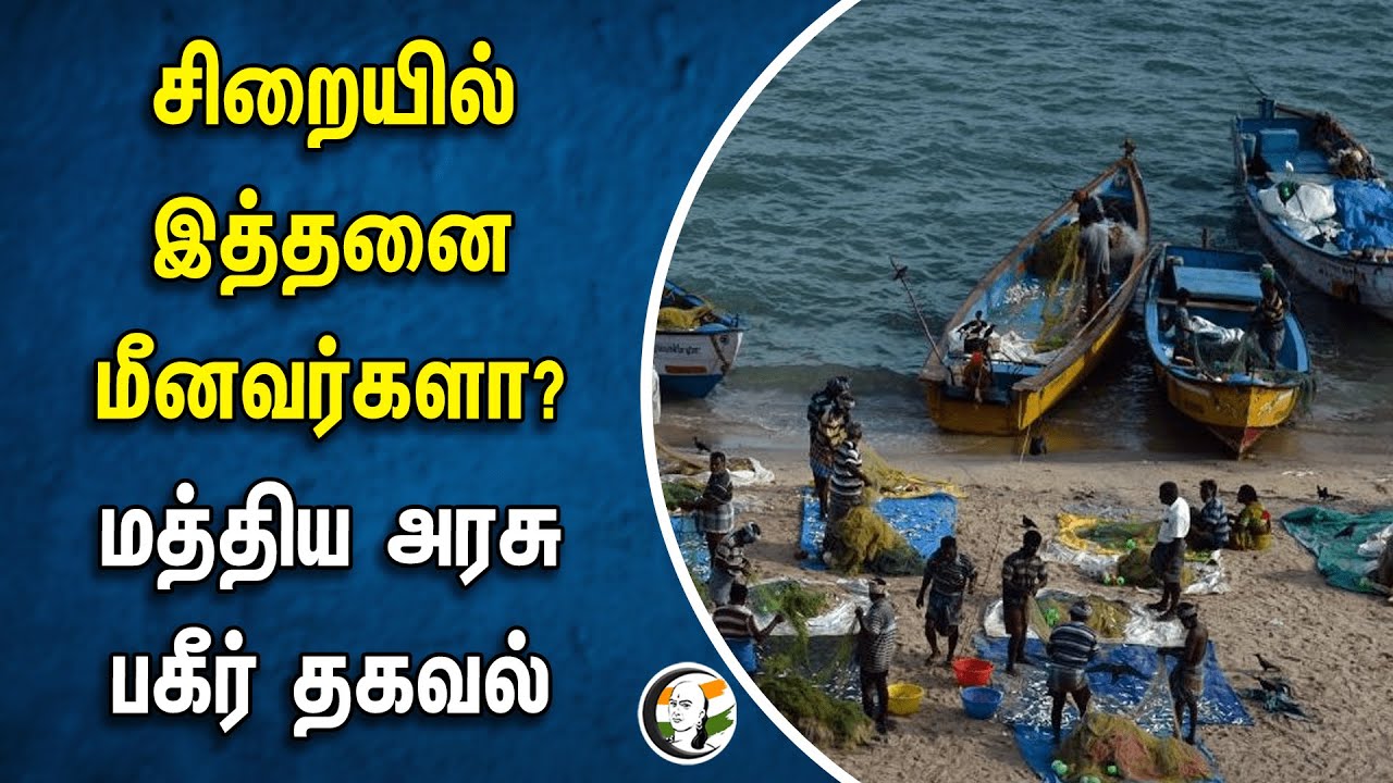 சிறையில் இத்தனை மீனவர்களா? மத்திய அரசு பகீர் தகவல் | Central government | Srilanka |Indian fisherman