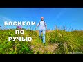 Течет ручей,бежит ручей . Прогулка по ручью босиком