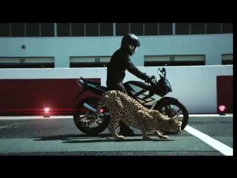 Bike and cheetah|| ya lili ya lela remix songs 2019 ||y2h statas