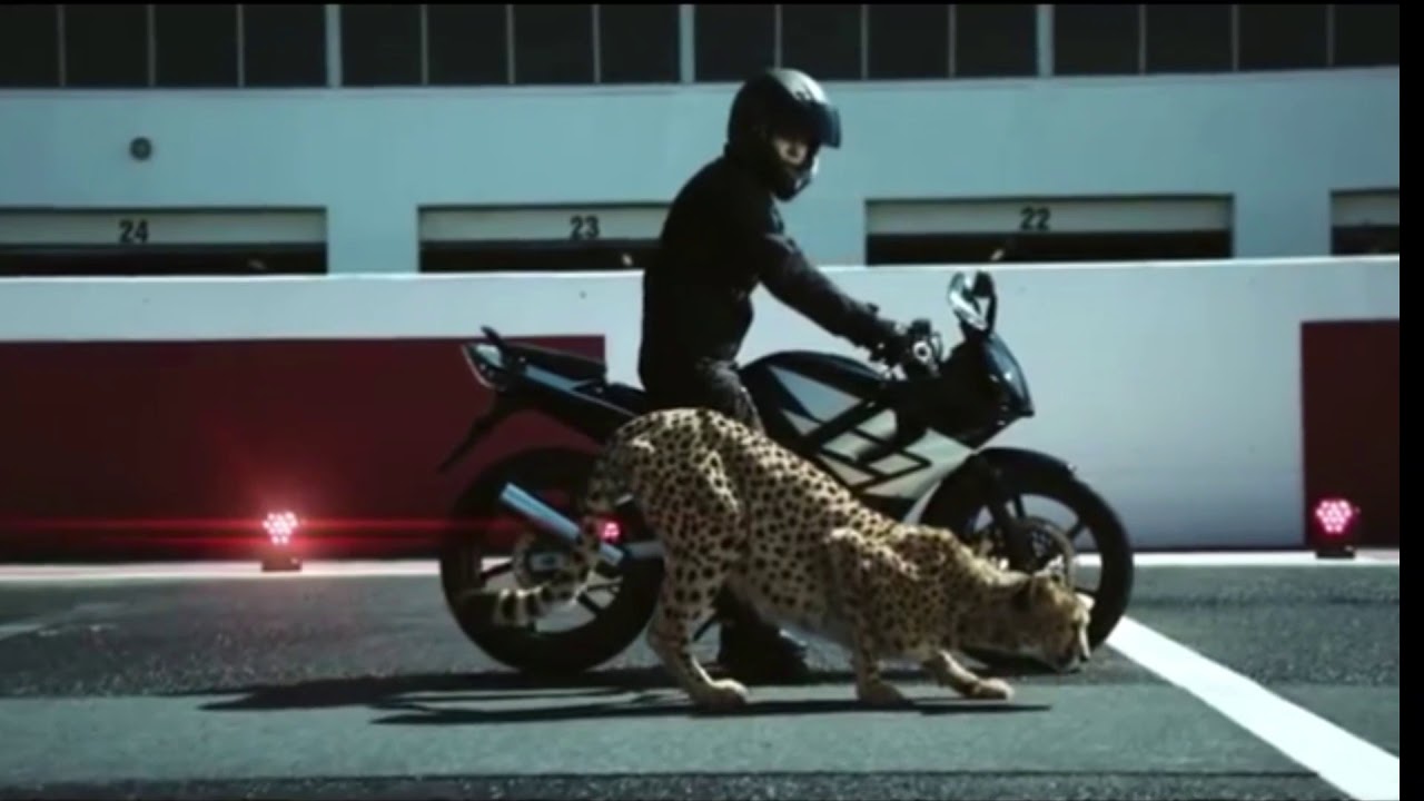 Bike and cheetah ya lili ya lela remix songs 2019 y2h statas