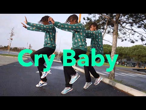 Megan Thee Stallion - Cry Baby (feat. DaBaby) - Dance Video