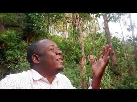 EVERY STEP WE TAKE IS FROM GOD Thanks To God 