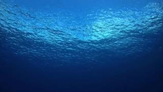 Shimmering Blue Water Surface
