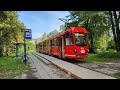 Düwag Ptm #909 (Tramwaje Śląskie - linia 21)