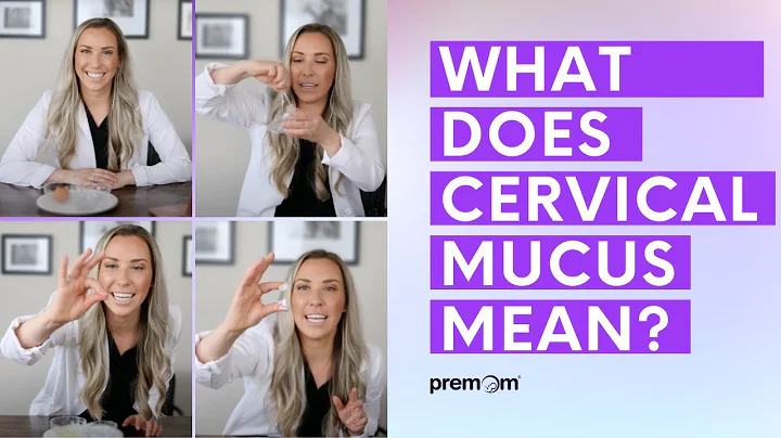 Types of Cervical Mucus - Demonstration on Hormones Impact on Your Fertility