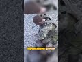 🇺🇦 Герой под огнём: Украинский солдат спасает себя после удара FPV-дрона