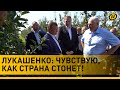 Лукашенко: Плохая ситуация… Провал! || Что пошло не так во время рабочей поездки Президента?