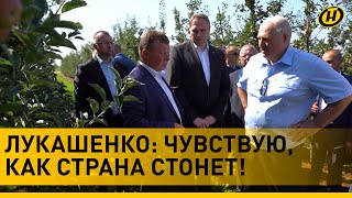 Лукашенко: Плохая ситуация… Провал! || Что пошло не так во время рабочей поездки Президента?