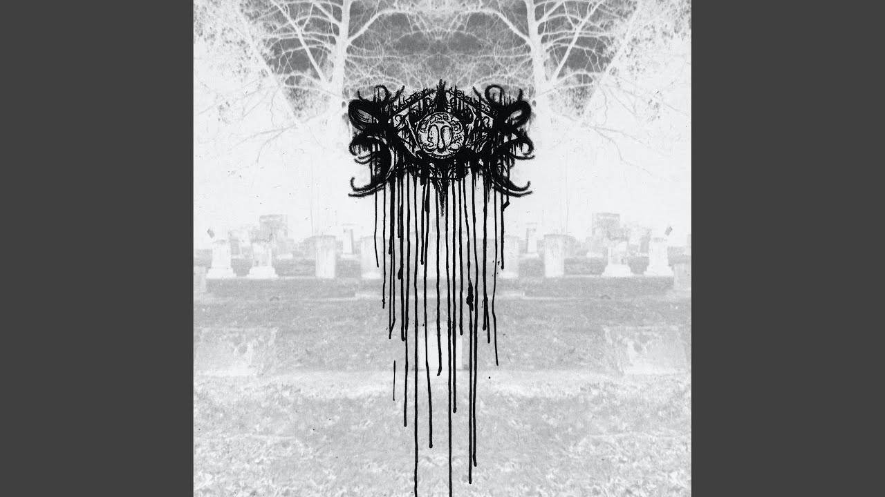 Msick Dehumanizing Dehumanizing Procession - YouTube Music